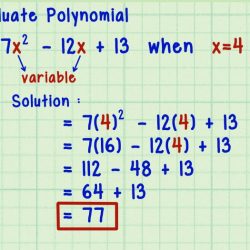 Review of algebraic and numeric expressions