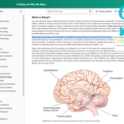 Openstax psychology 2e answer key