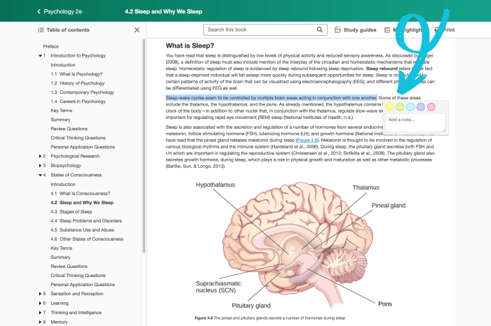 Openstax psychology 2e answer key