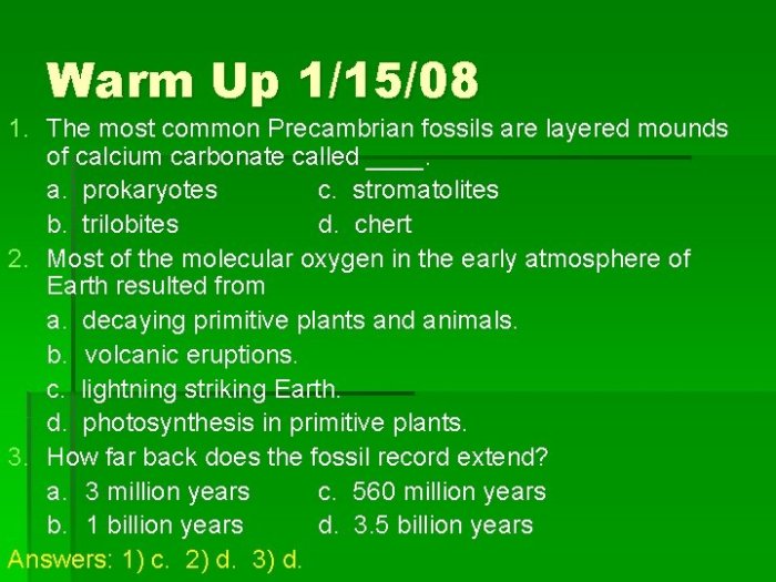 The most common precambrian fossils are