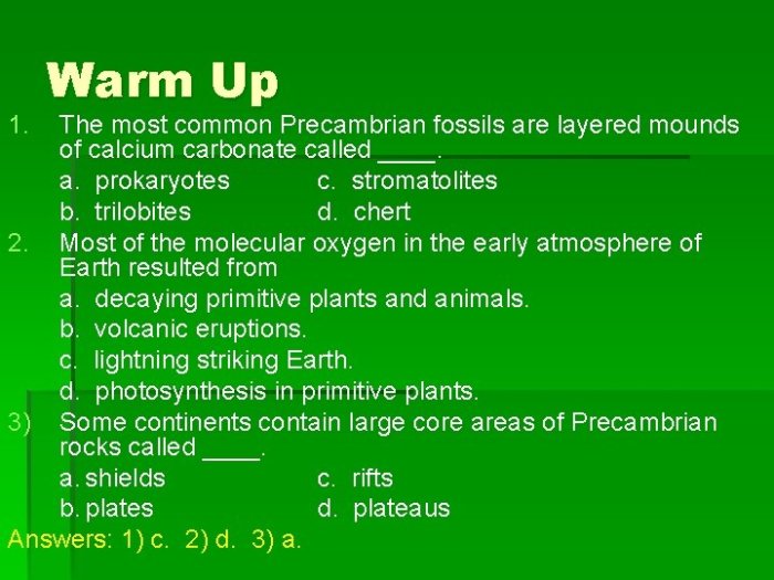 The most common precambrian fossils are