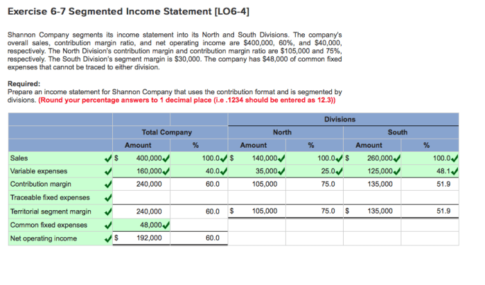 Shannon company segments its income