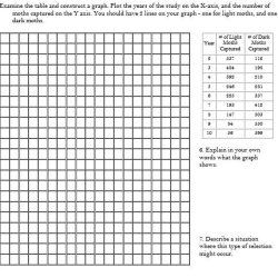 Peppered moth lab answer key