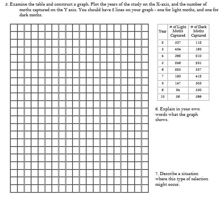 Peppered moth lab answer key