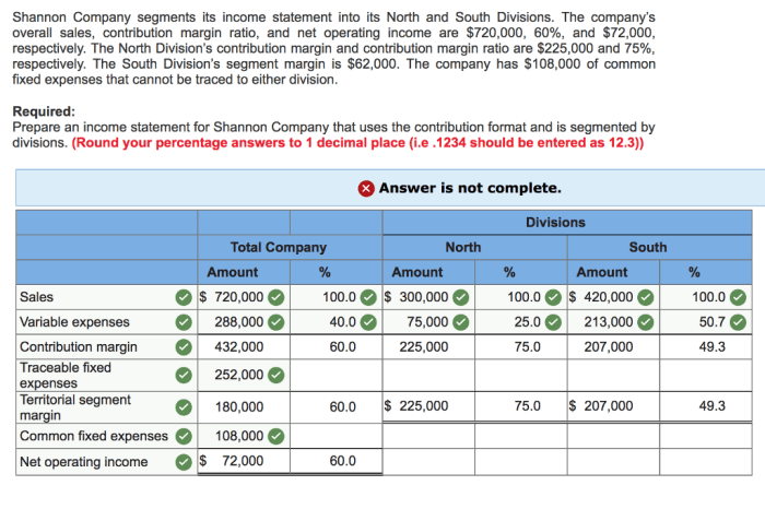 Shannon company segments its income