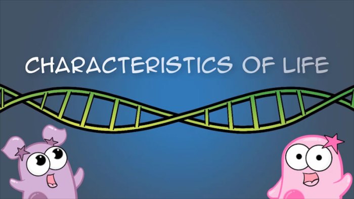 Amoeba sisters characteristics of life worksheet