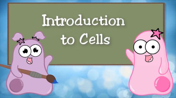 Amoeba sisters video recap introduction to cells answer key