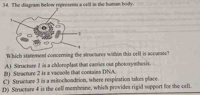 Cell structure chapter slideshare